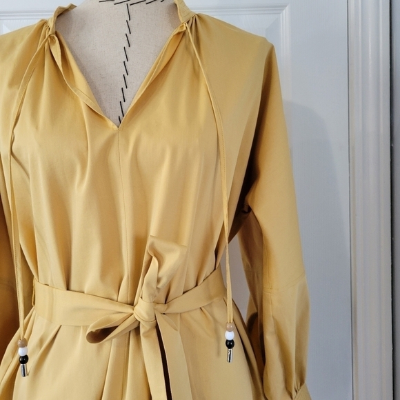 Boss Dapera Poplin Sheath Dress - Picture 4 of 11